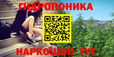 крисы Абинск