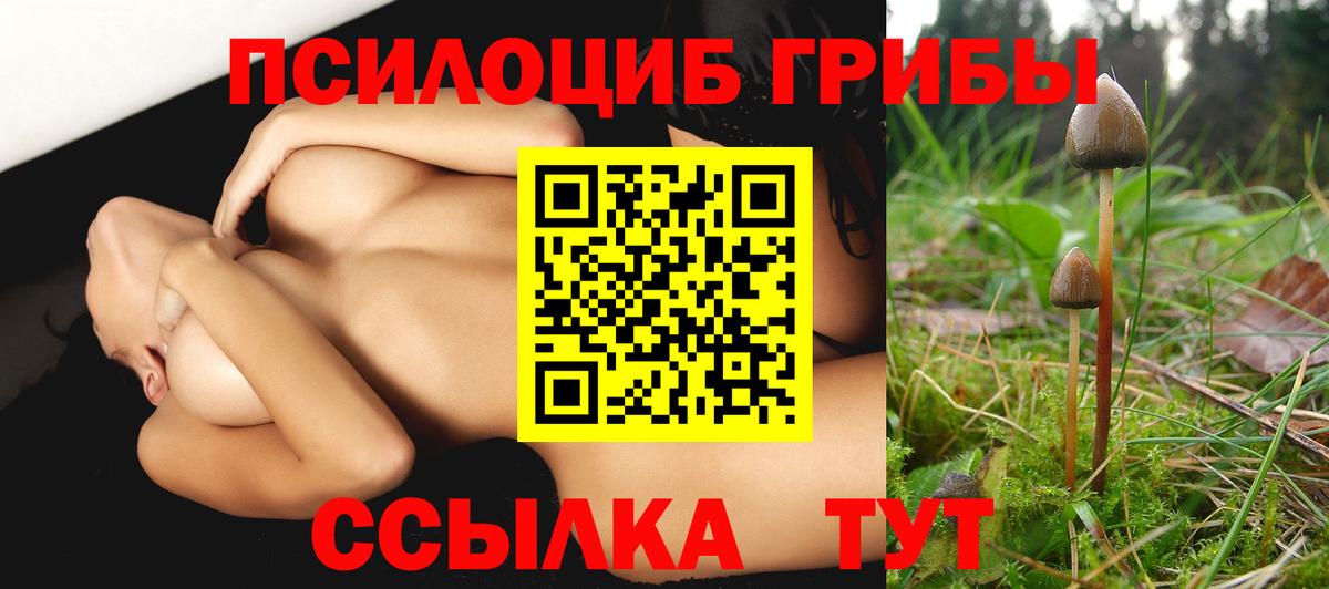 Алейск  Псилоцибиновые грибы GOLDEN TEACHER  Вход с VPN 